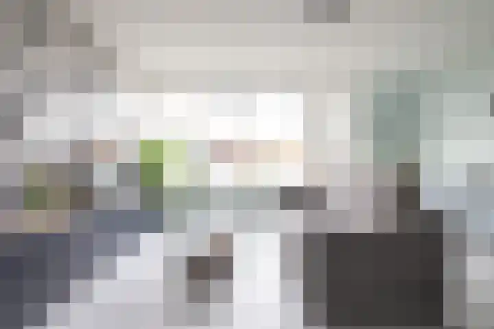Ploegersdonk 126 Apeldoorn thumbnail 9