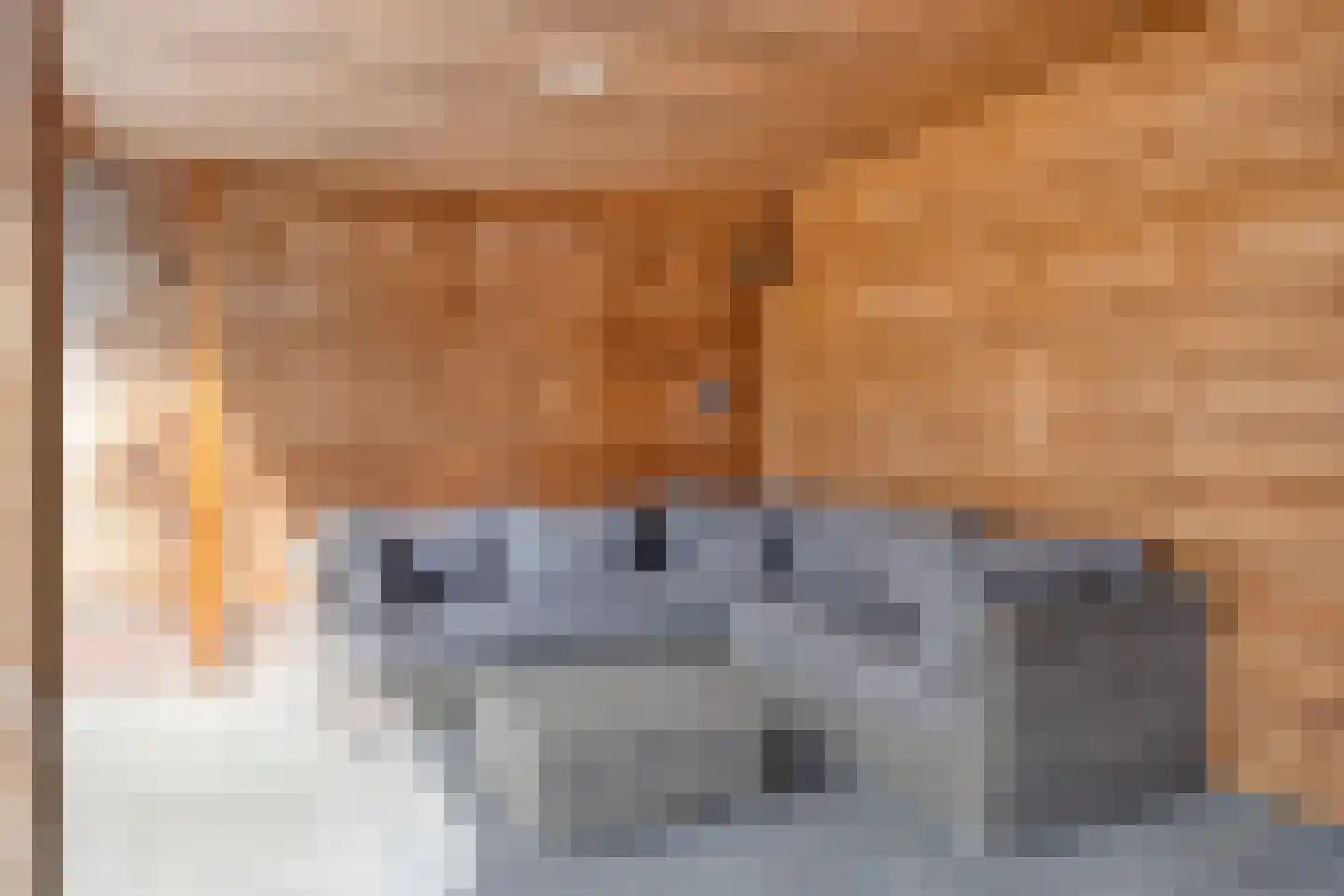 Ploeggang 27 Drachten thumbnail 48