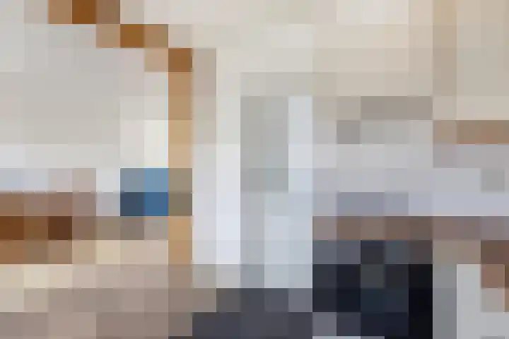 Ploeggang 3 Drachten thumbnail 11