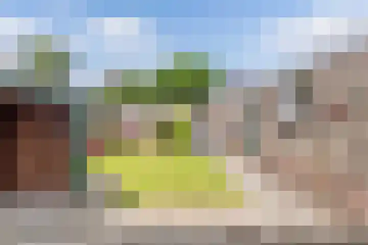 Ploeggang 3 Drachten thumbnail 16