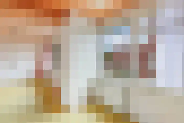 Ploeggang 3 Drachten thumbnail 21