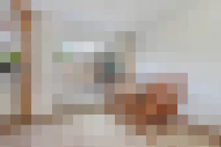 Ploeggang 3 Drachten thumbnail 8
