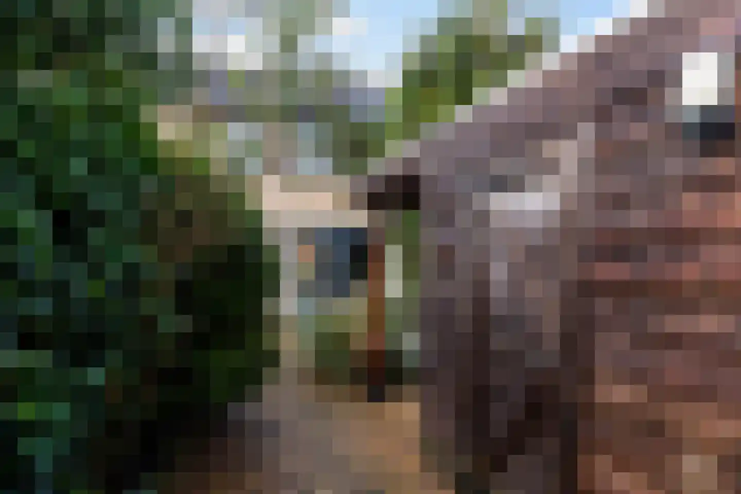 Ploeglaan 21 Eemnes thumbnail 26
