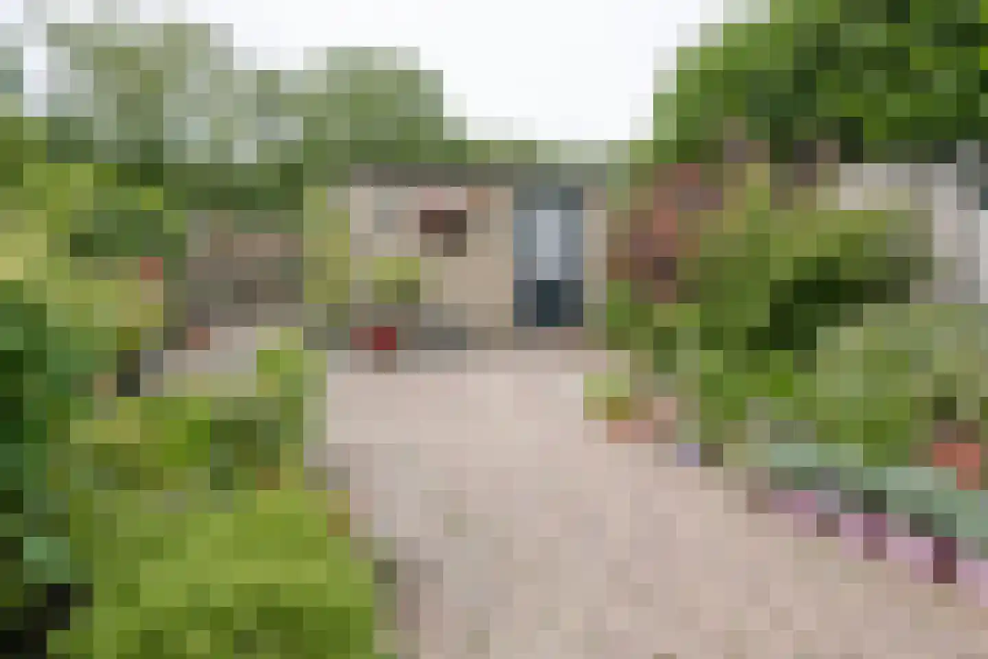 Ploeglaan 44 Eemnes thumbnail 40