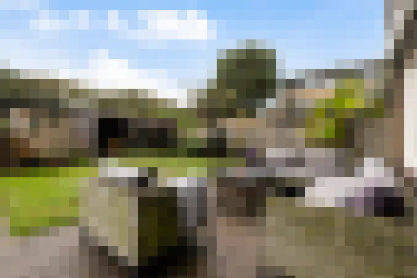 Ploeglaan 46 Eemnes thumbnail 26