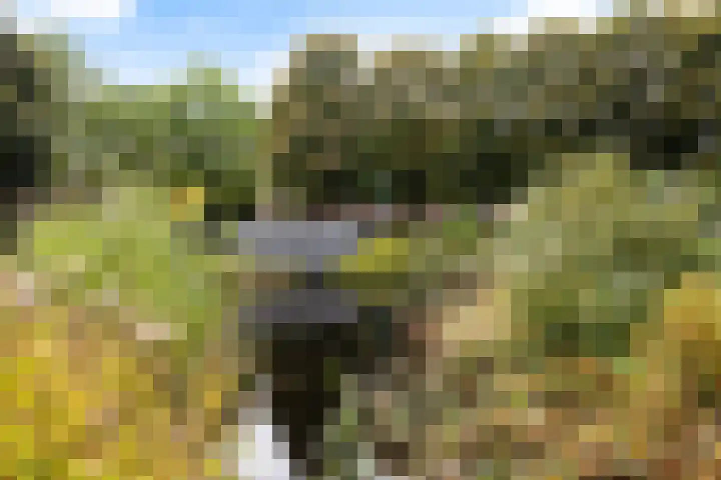Ploeglaan 46 Eemnes thumbnail 30