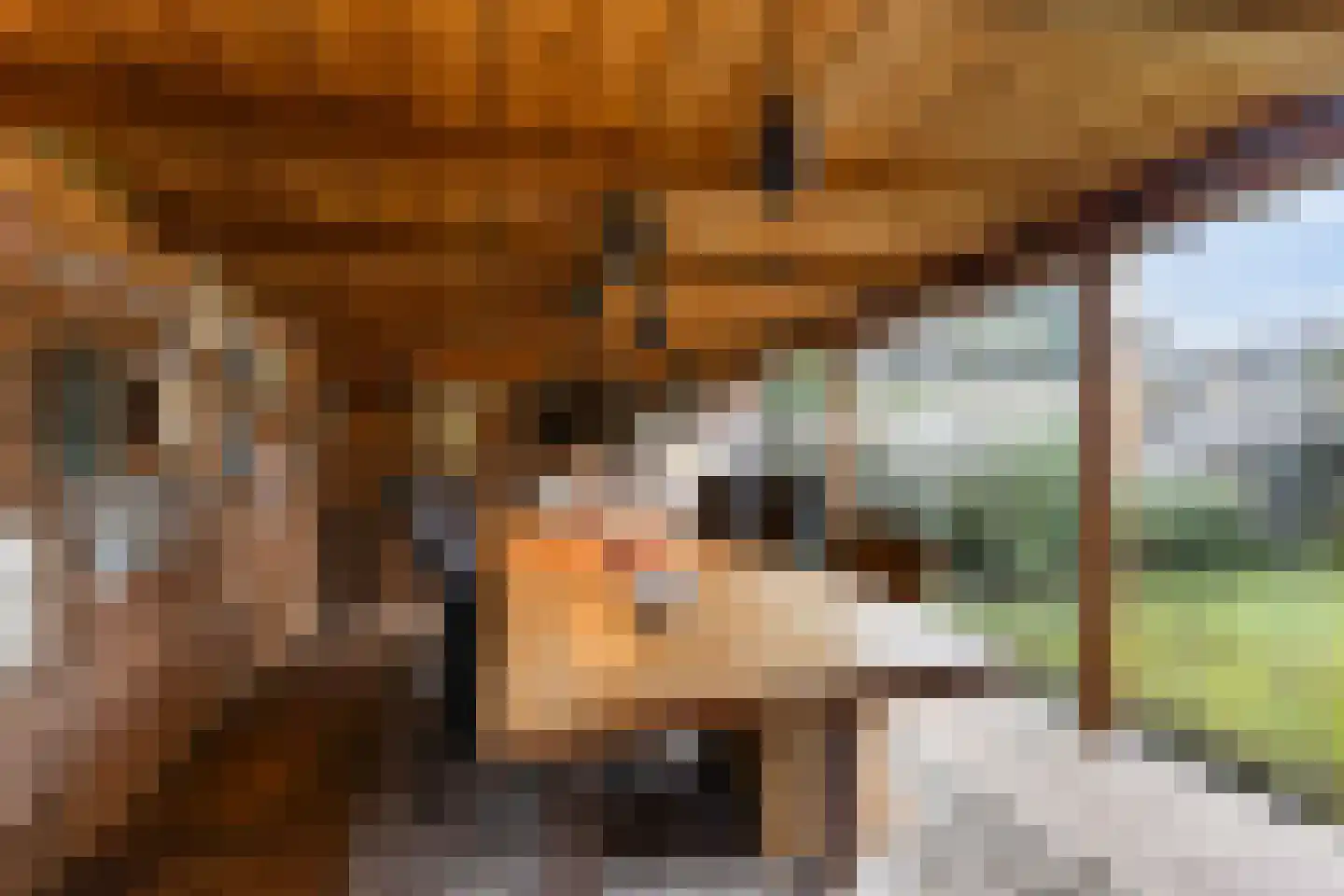 Ploeglaan 46 Eemnes thumbnail 4