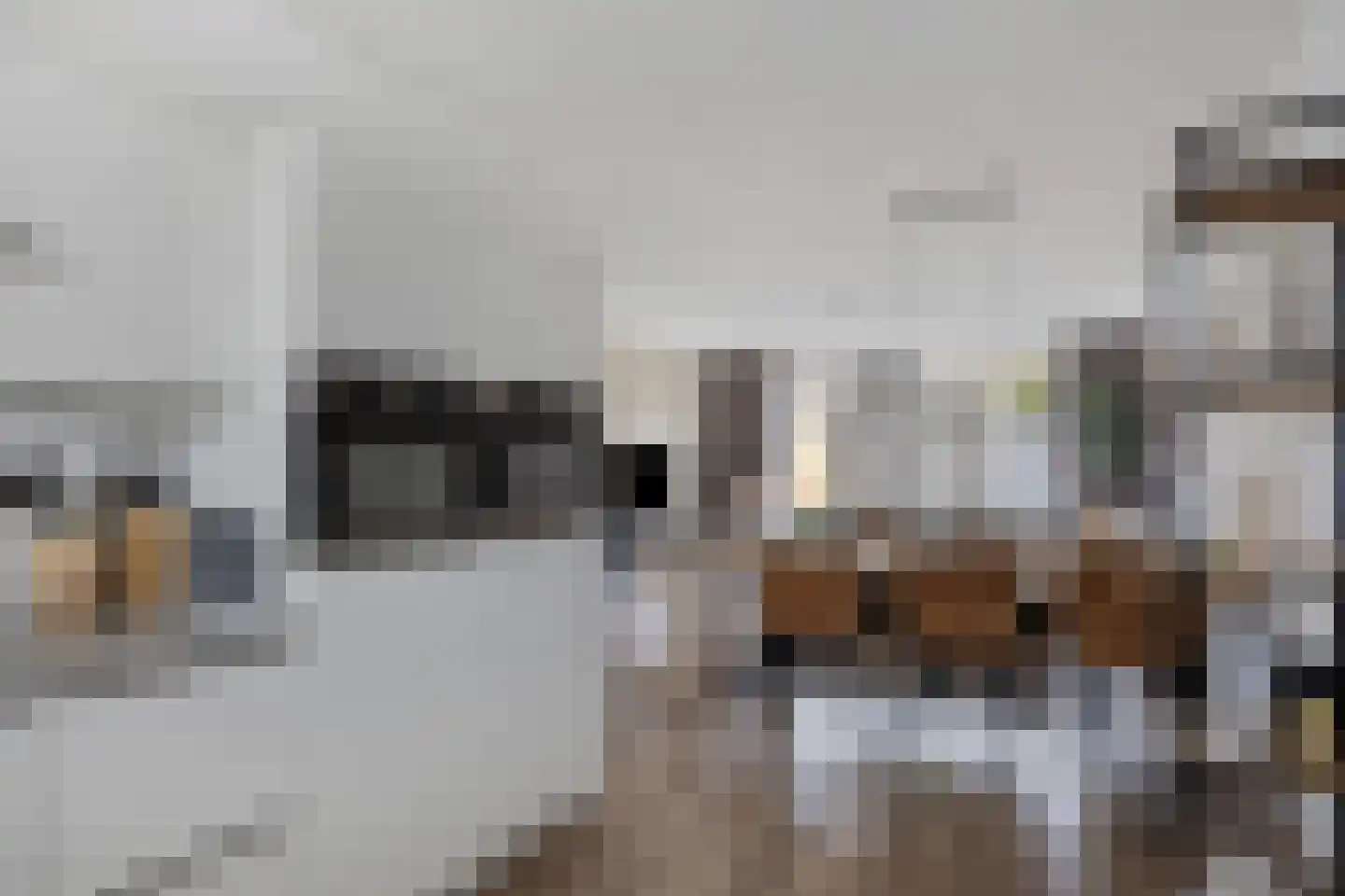 Ploegmakers-erf 19 Heesch thumbnail 12