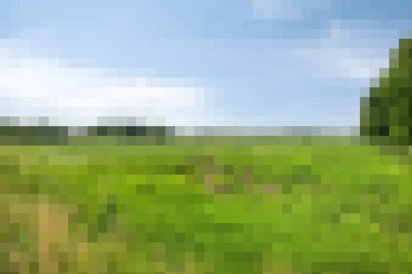 Ploegmakers-erf 19 Heesch thumbnail 29