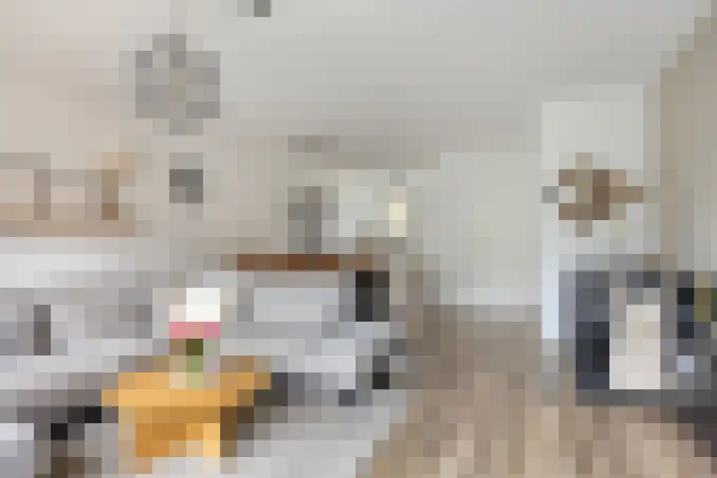 Ploegmakers-erf 19 Heesch thumbnail 6