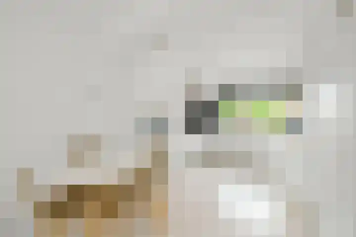 Ploegschaar 10 Hellevoetsluis thumbnail 15