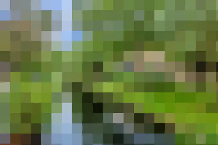 Ploegschaar 10 Hellevoetsluis thumbnail 48