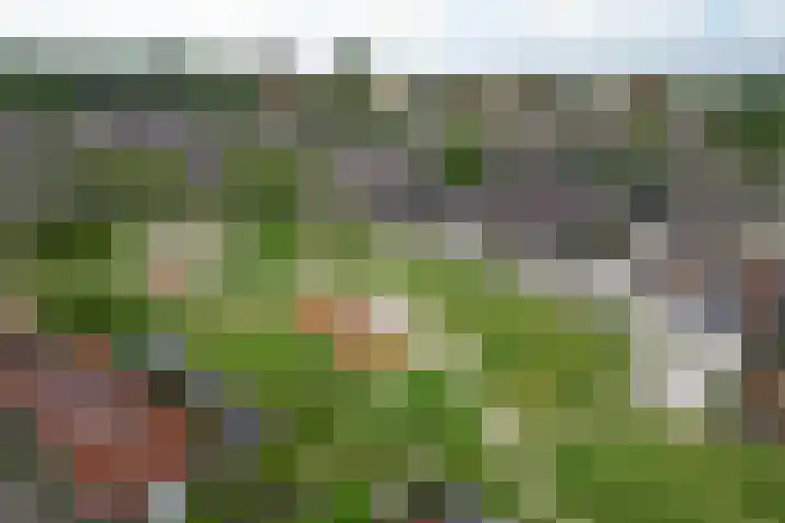 Ploegschaar 10 Hellevoetsluis thumbnail 51