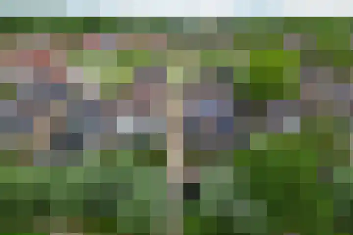 Ploegschaar 10 Hellevoetsluis thumbnail 53