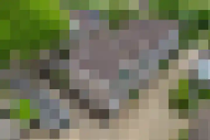 Ploegschaar 10 Hellevoetsluis thumbnail 7