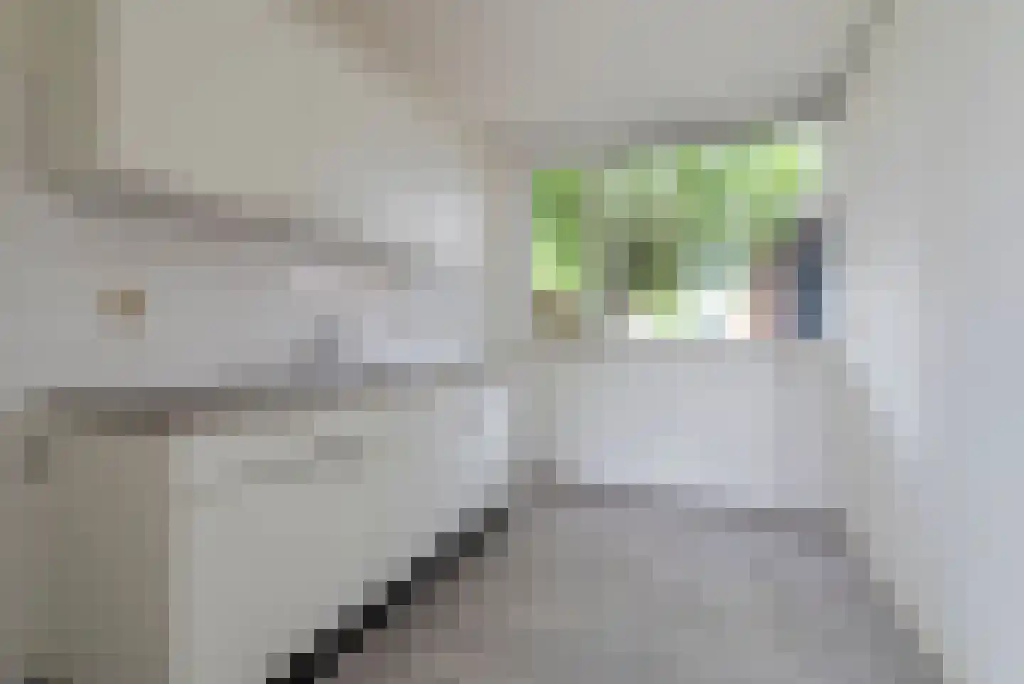 Ploegschaar 15 Veenendaal thumbnail 10