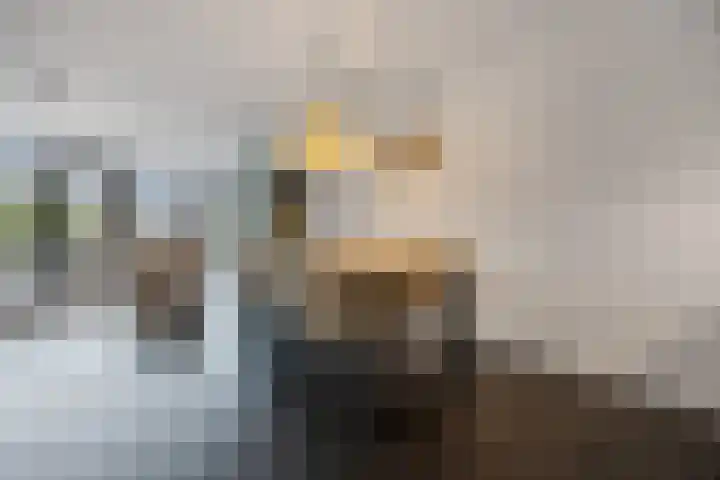 Ploegschaar 21 Voorthuizen thumbnail 12