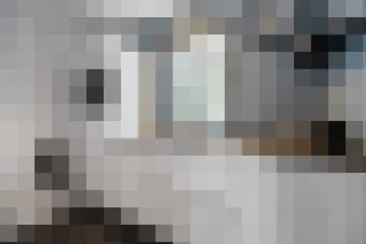 Ploegschaar 21 Voorthuizen thumbnail 16