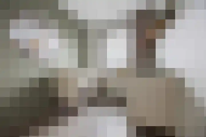 Ploegschaar 21 Voorthuizen thumbnail 20