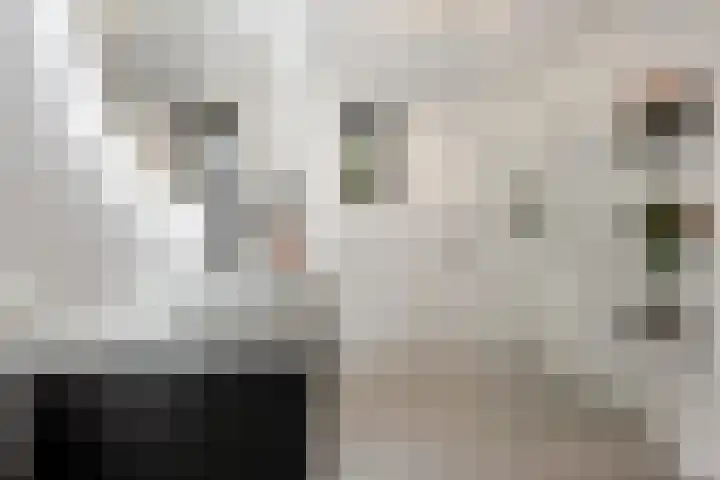 Ploegschaar 21 Voorthuizen thumbnail 24