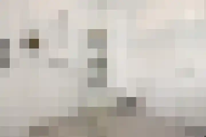 Ploegschaar 21 Voorthuizen thumbnail 26
