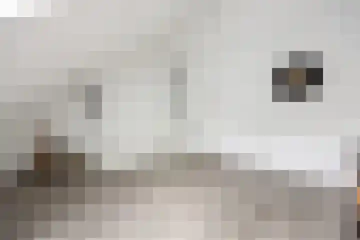Ploegschaar 21 Voorthuizen thumbnail 28