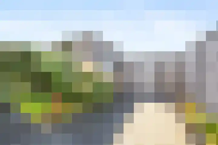 Ploegschaar 21 Voorthuizen thumbnail 30