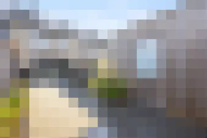 Ploegschaar 21 Voorthuizen thumbnail 32