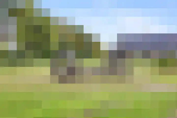 Ploegschaar 21 Voorthuizen thumbnail 33