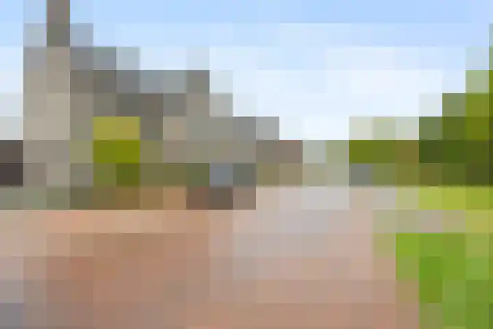 Ploegschaar 21 Voorthuizen thumbnail 35