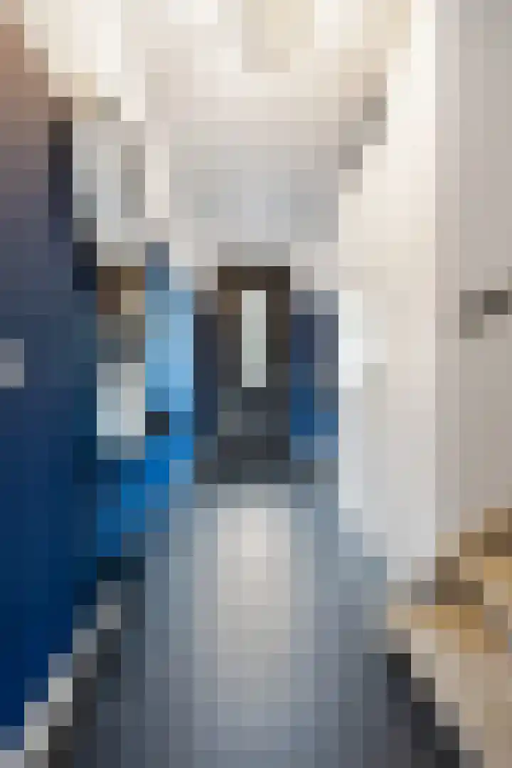 Ploegschaar 21 Voorthuizen thumbnail 6