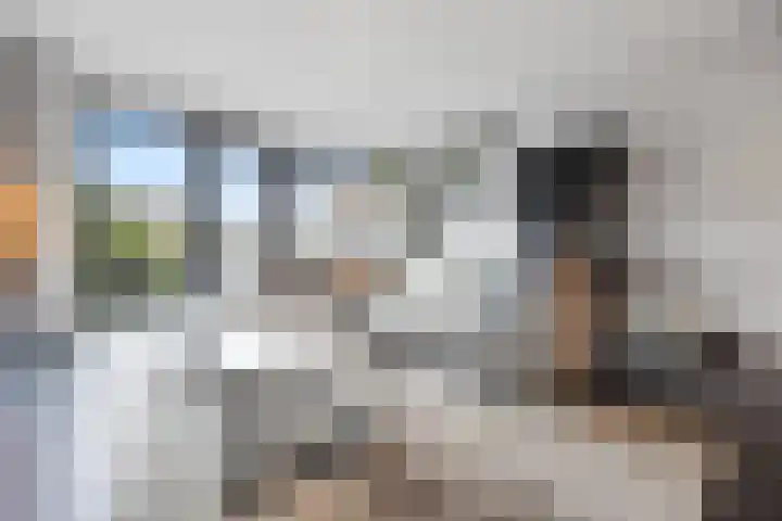 Ploegschaar 21 Voorthuizen thumbnail 8
