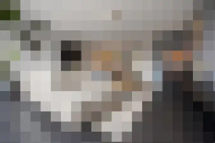 Ploegschaar 21 Voorthuizen thumbnail 9