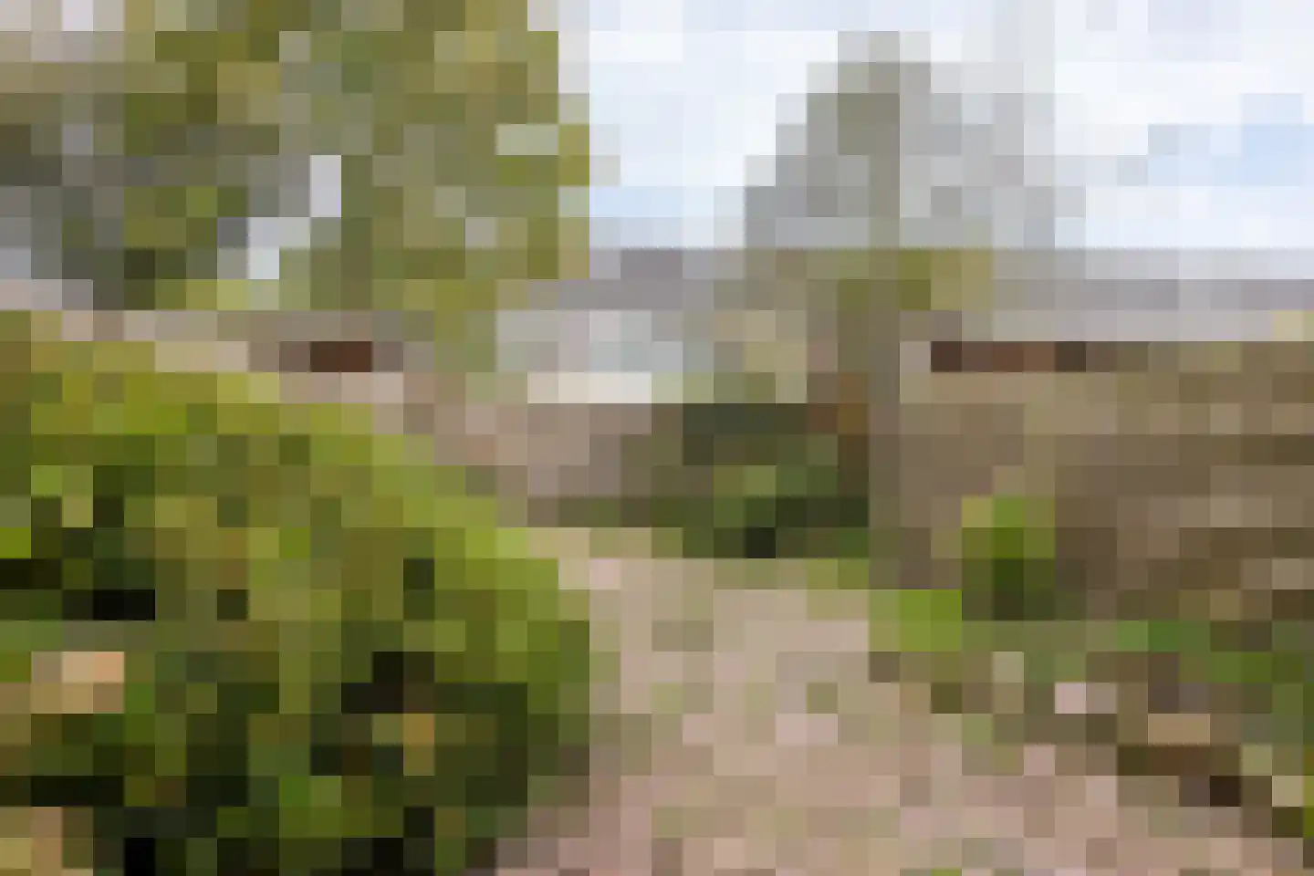 Ploegschaar 24 Leusden thumbnail 31