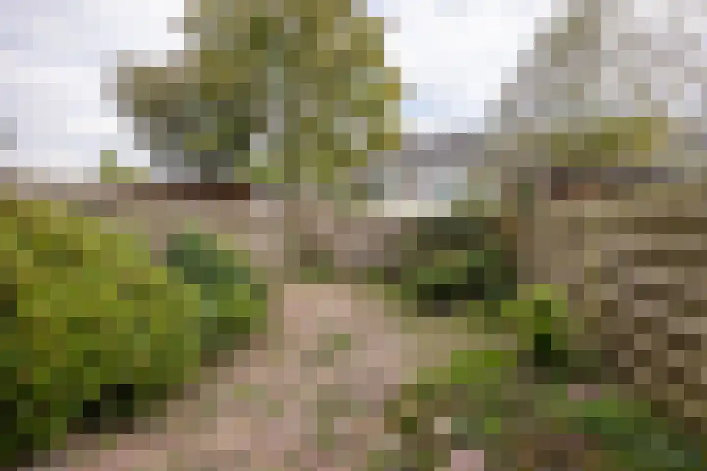 Ploegschaar 24 Leusden thumbnail 32