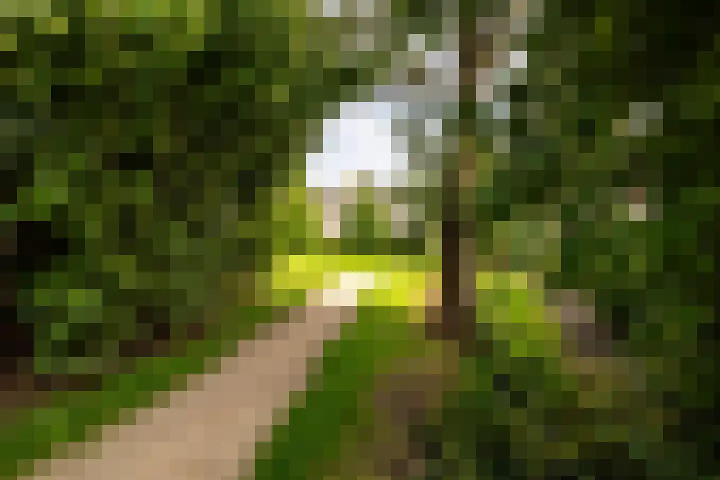 Ploegschaar 24 Leusden thumbnail 37