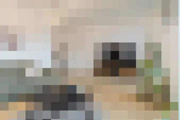 Ploegschaar 25 Oosterhout thumbnail 10