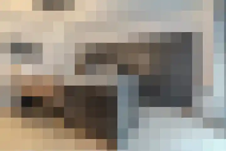 Ploegschaar 25 Oosterhout thumbnail 17