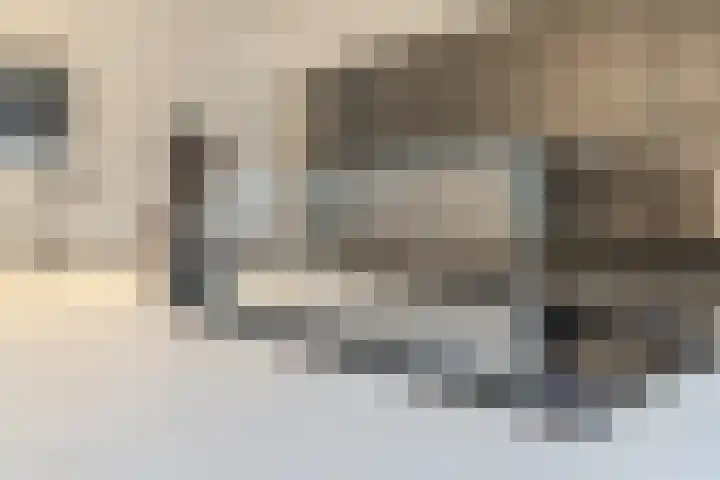 Ploegschaar 25 Oosterhout thumbnail 21
