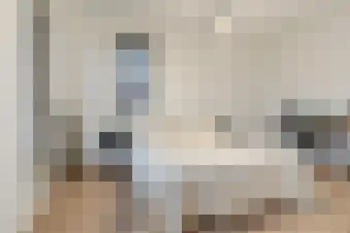 Ploegschaar 25 Oosterhout thumbnail 25