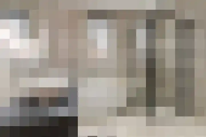 Ploegschaar 25 Oosterhout thumbnail 30