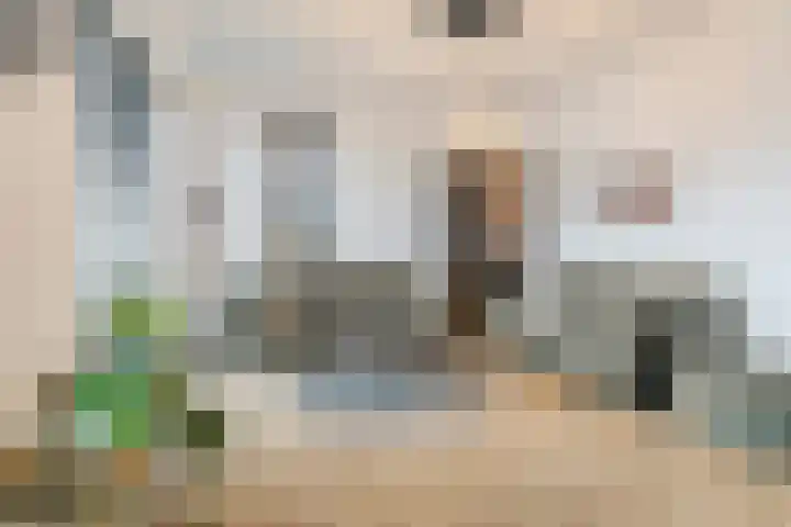 Ploegschaar 25 Oosterhout thumbnail 9