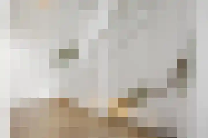 Ploegschaar 29 Voorthuizen thumbnail 17