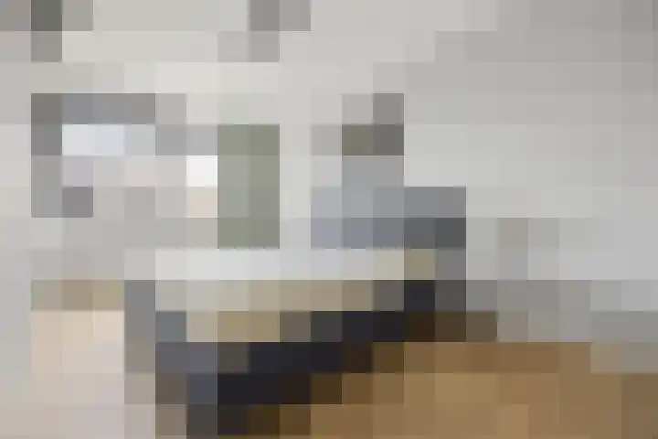 Ploegschaar 29 Voorthuizen thumbnail 18