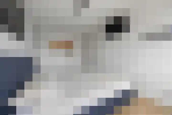 Ploegschaar 29 Voorthuizen thumbnail 19