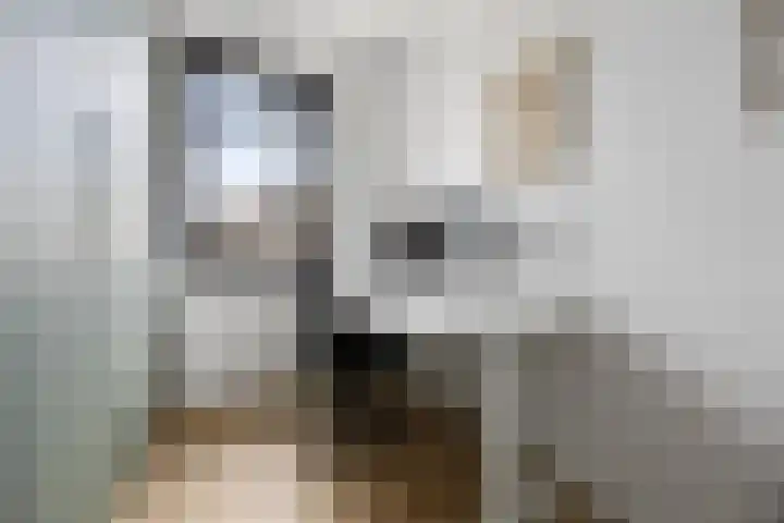 Ploegschaar 29 Voorthuizen thumbnail 21