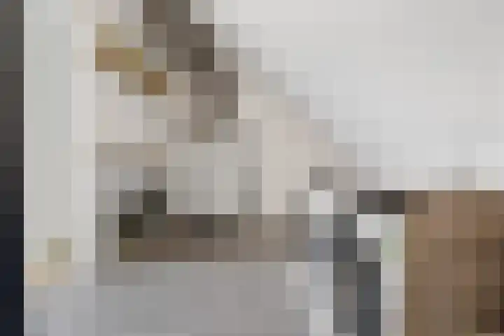 Ploegschaar 29 Voorthuizen thumbnail 27