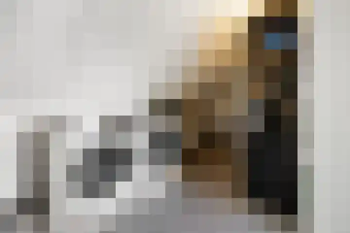 Ploegschaar 29 Voorthuizen thumbnail 28
