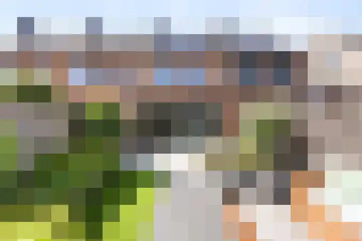 Ploegschaar 29 Voorthuizen thumbnail 31