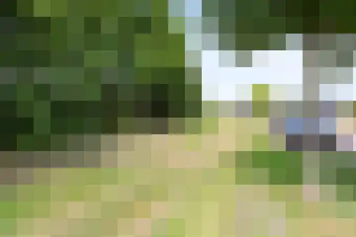 Ploegschaar 29 Voorthuizen thumbnail 38